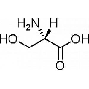 丝氨酸（一种人体非必需氨基酸）